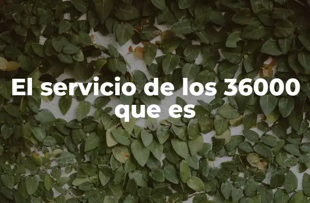 El Servicio de los 36000 que es 2 El concepto detrás del servicio de 36000 horas