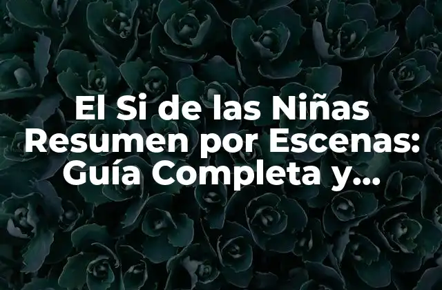 El Si de las Niñas Resumen por Escenas: Guía Completa y Detallada