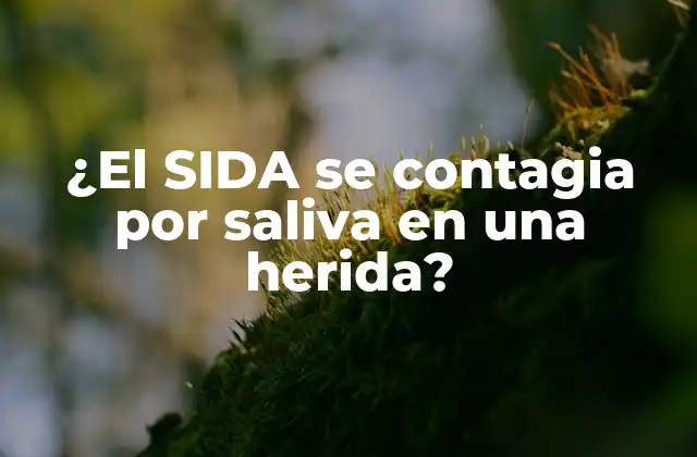 ¿el Sida Se Contagia por Saliva en una Herida?