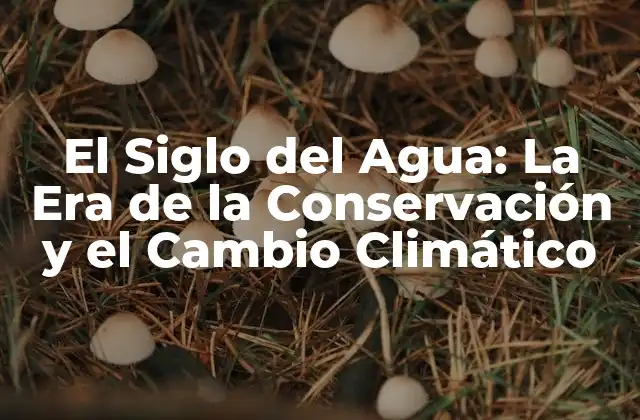 El Siglo Del Agua: la Era de la Conservación y el Cambio Climático
