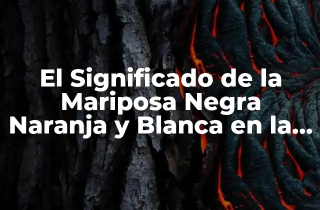 El Significado de la Mariposa Negra Naranja y Blanca en la Cultura y la Esoterismo