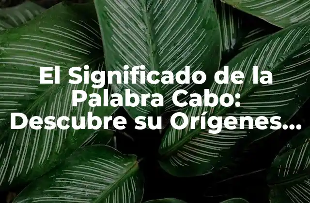 El Significado de la Palabra Cabo: Descubre Su Orígenes y Uso