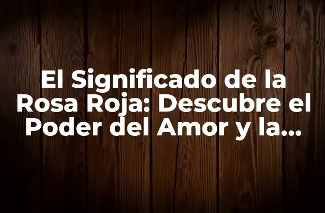 El Significado de la Rosa Roja: Descubre el Poder Del Amor y la Pasión