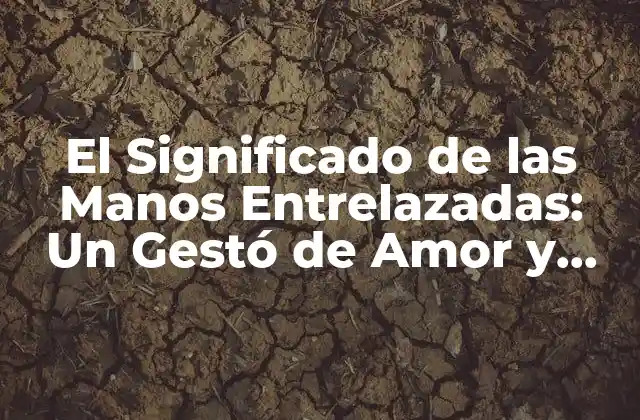 El Significado de las Manos Entrelazadas: un Gestó de Amor y Unión
