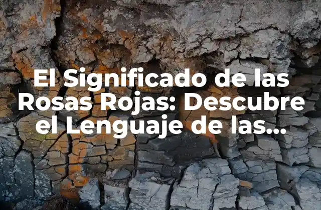 El Significado de las Rosas Rojas: Descubre el Lenguaje de las Flores