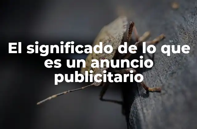 El Significado de Lo que es un Anuncio Publicitario