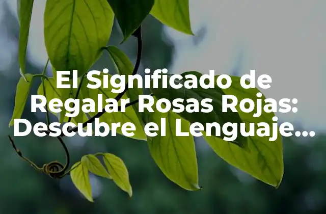 El Significado de Regalar Rosas Rojas: Descubre el Lenguaje de las Flores