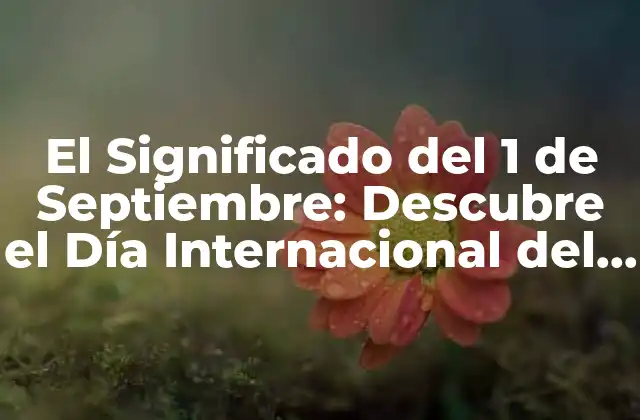 El Significado Del 1 de Septiembre: Descubre el Día Internacional Del Conocimiento