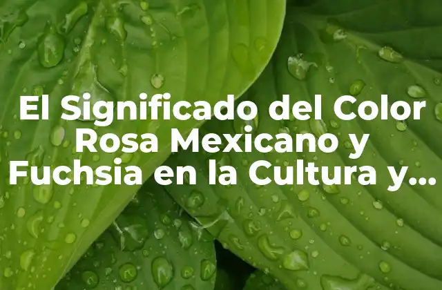 El Significado Del Color Rosa Mexicano y Fuchsia en la Cultura y la Moda