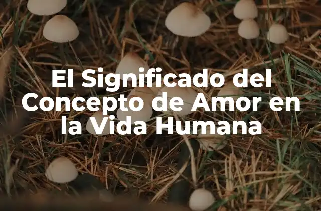 El Significado Del Concepto de Amor en la Vida Humana