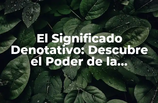 ¿Qué es el Significado Denotativo?