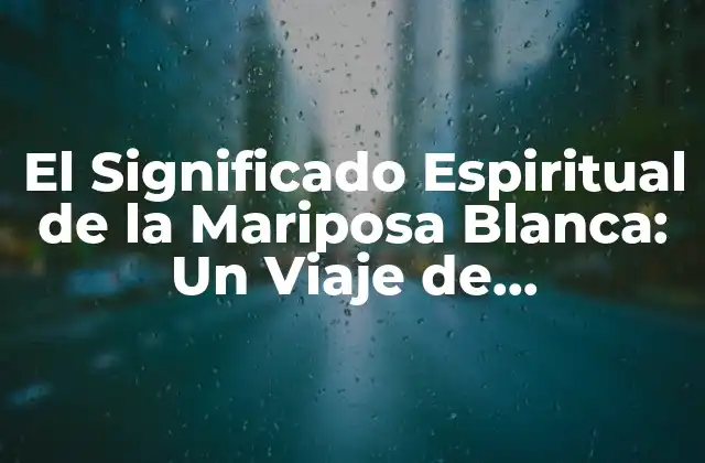 El Significado Espiritual de la Mariposa Blanca: un Viaje de Transformación