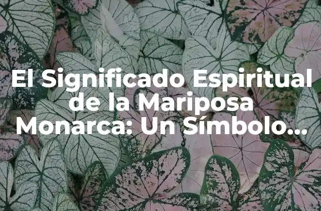 El Significado Espiritual de la Mariposa Monarca: un Símbolo de Transformación