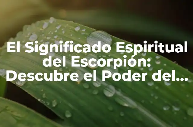 El Significado Espiritual Del Escorpión: Descubre el Poder Del Escorpión en la Espiritualidad