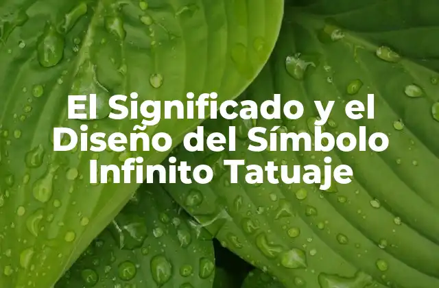 El Significado y el Diseño Del Símbolo Infinito Tatuaje 2 Orígenes del Símbolo Infinito