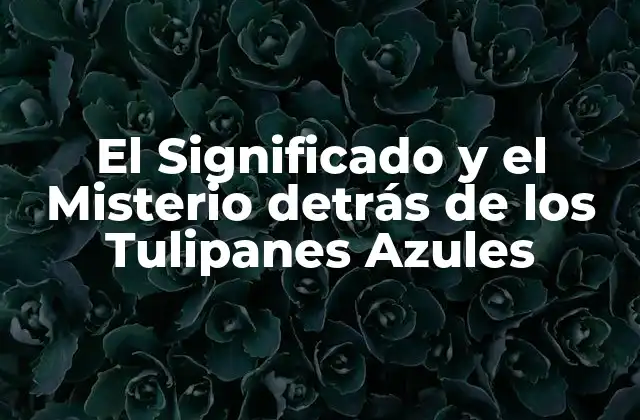 El Significado y el Misterio Detrás de los Tulipanes Azules