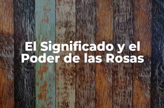 El Significado y el Poder de las Rosas