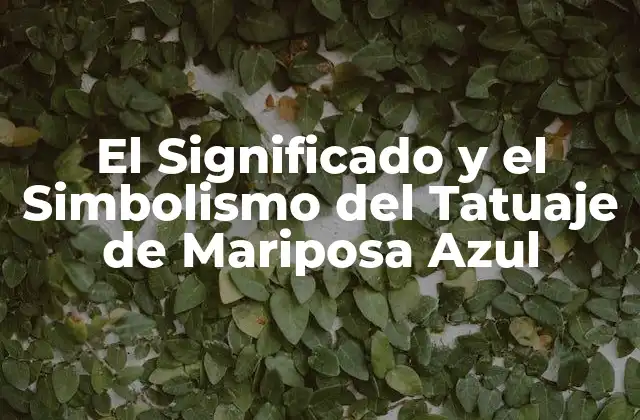 El Significado y el Simbolismo Del Tatuaje de Mariposa Azul
