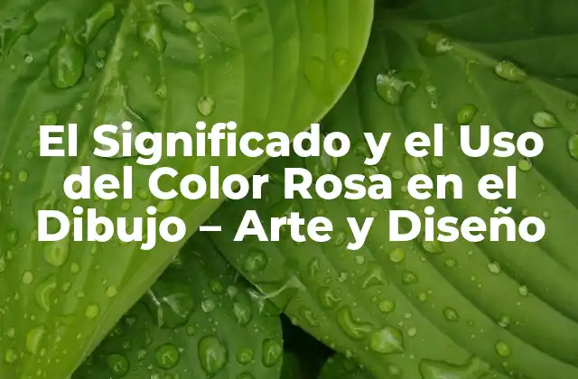 El Significado y el Uso Del Color Rosa en el Dibujo – Arte y Diseño