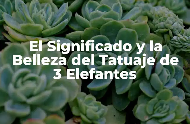 El Significado y la Belleza Del Tatuaje de 3 Elefantes
