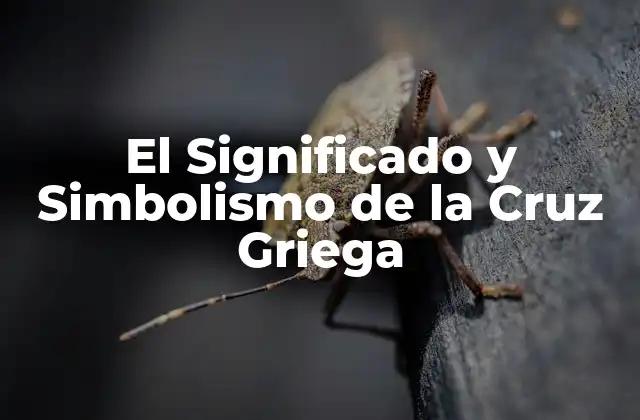 Orígenes de la Cruz Griega