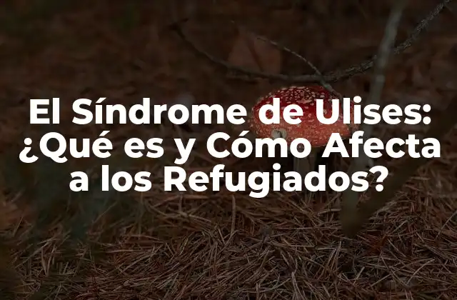 El Síndrome de Ulises: ¿qué es y Cómo Afecta a los Refugiados?