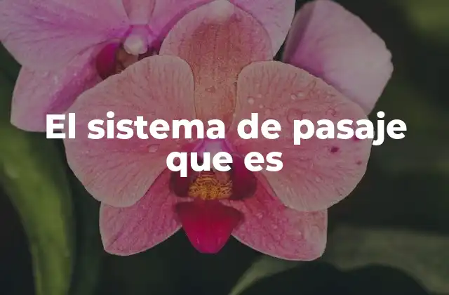 El Sistema de Pasaje que es