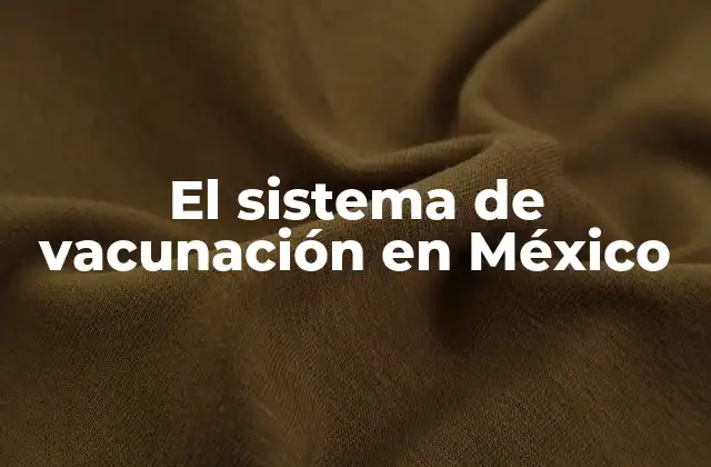 El Sistema de Vacunación en México