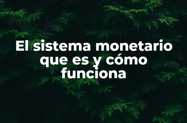 El Sistema Monetario que es y Cómo Funciona