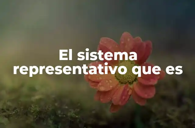 El Sistema Representativo que es
