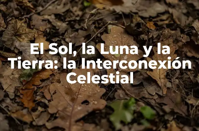El Sol, la Luna y la Tierra: la Interconexión Celestial