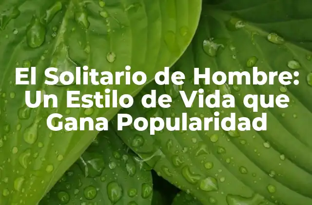 El Solitario de Hombre: un Estilo de Vida que Gana Popularidad