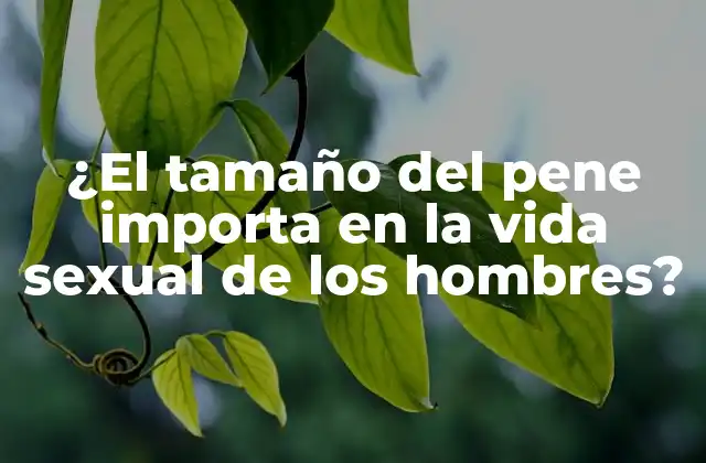 ¿el Tamaño Del Pene Importa en la Vida Sexual de los Hombres?