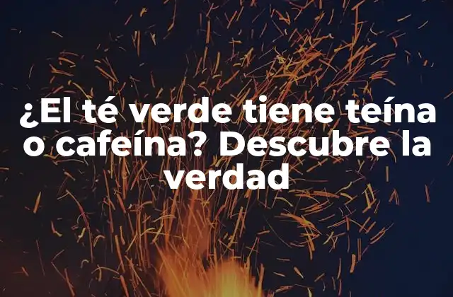 ¿Qué es la teína?