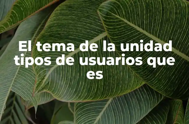 El Tema de la Unidad Tipos de Usuarios que es