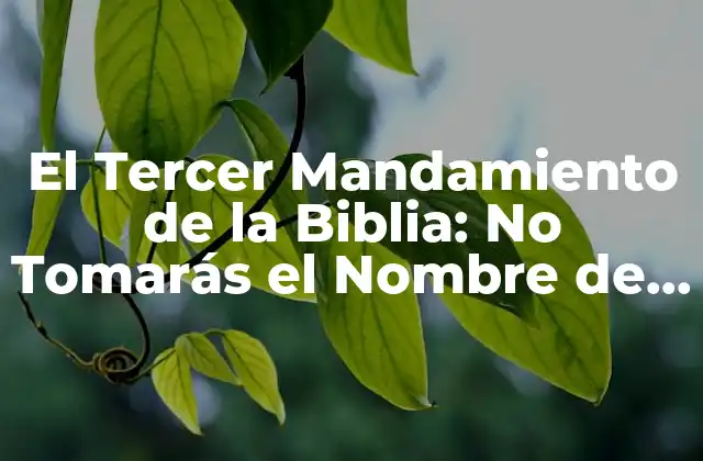 El Tercer Mandamiento de la Biblia: No Tomarás el Nombre de Dios en Vano