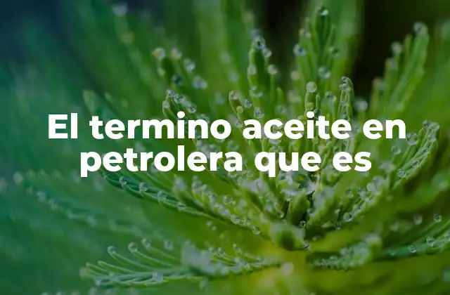 El Termino Aceite en Petrolera que es