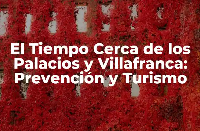 El Tiempo Cerca de los Palacios y Villafranca: Prevención y Turismo