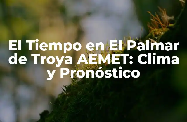 El Tiempo en el Palmar de Troya Aemet: Clima y Pronóstico