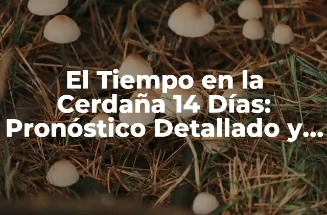 ¿Cuál es el Clima en la Cerdaña?