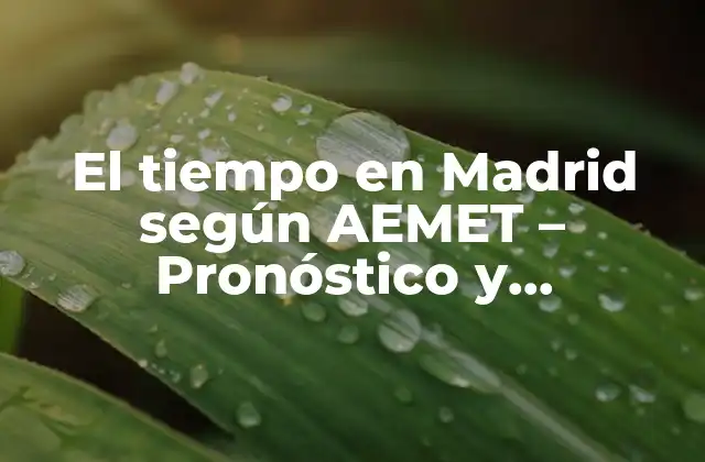 El Tiempo en Madrid según Aemet – Pronóstico y Previsiones Meteorológicas