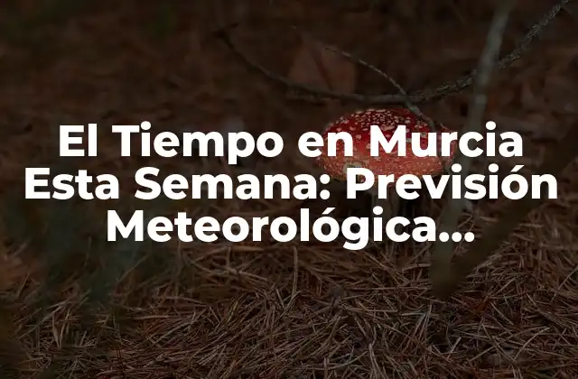 El Tiempo en Murcia Esta Semana: Previsión Meteorológica Actualizada
