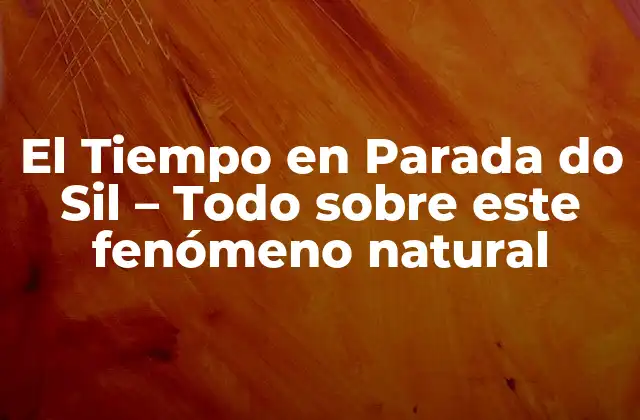 El Tiempo en Parada Do Sil - Todo sobre Este Fenómeno Natural 2 ¿Qué hace que el tiempo se detenga en Parada do Sil?