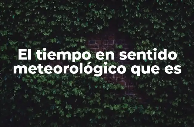 La importancia del tiempo en la vida cotidiana