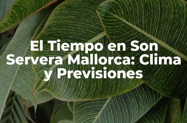 El Tiempo en Son Servera Mallorca: Clima y Previsiones 2 El Clima en Son Servera Mallorca: Características y Estaciones
