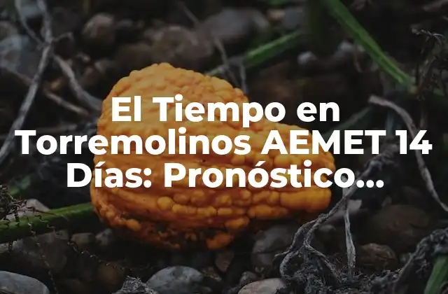 El Tiempo en Torremolinos Aemet 14 Días: Pronóstico Meteorológico Detallado