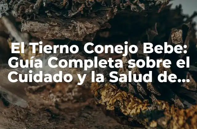 El Tierno Conejo Bebe: Guía Completa sobre el Cuidado y la Salud de los Cachorros de Conejo