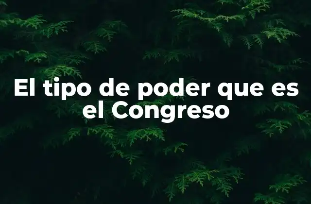El Tipo de Poder que es el Congreso
