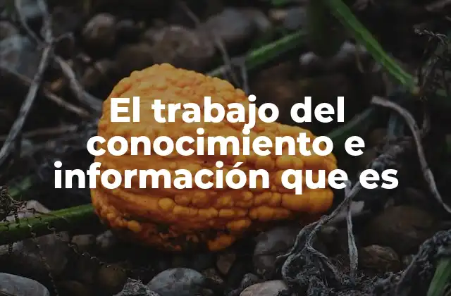 La evolución del trabajo intelectual en la era digital