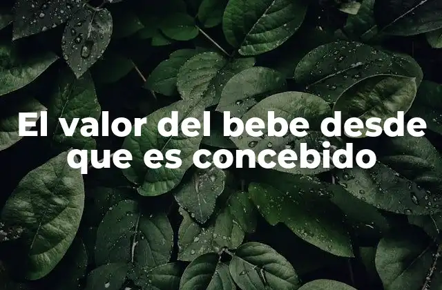 El bebé no nacido y su lugar en la sociedad actual